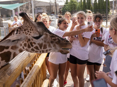 Alpha Chi Omega spend time with one of the giraffes at the Lincoln Children’s Zoo while working there. The Big Event is organized annually by the Association of Students of the University of Nebraska (ASUN). Since 2006, more than 37,500 students at the University of Nebraska–Lincoln have completed 1,687,500 volunteer hours during The Big Event. April 23, 2022. Photo by Dillon Galloway / University Communication.